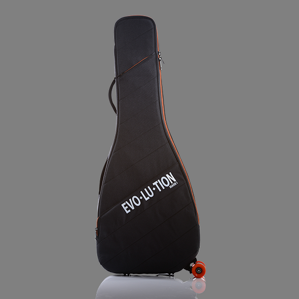 Ionia Guitar Case [DISCONTINUED]