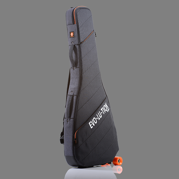 Ionia Guitar Case [DISCONTINUED]